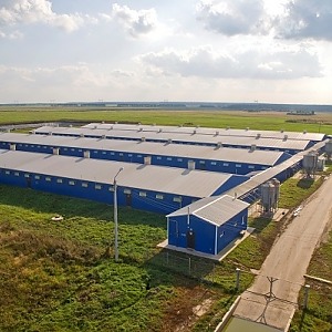 Быстровозводимые свинокомплексы